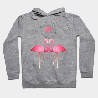 Our First valentines day together | couplesGift Hoodie